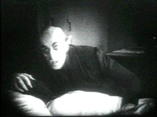 nosferatu pic