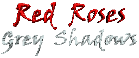 RED ROSES, GREY SHADOWS